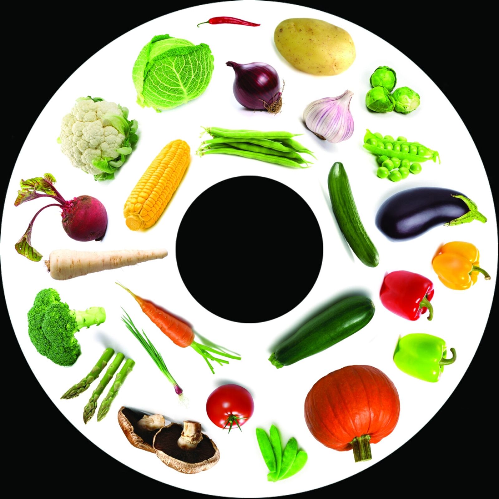 SNAP Projector Wheels-Vegetables - LIMITED SUPPLY