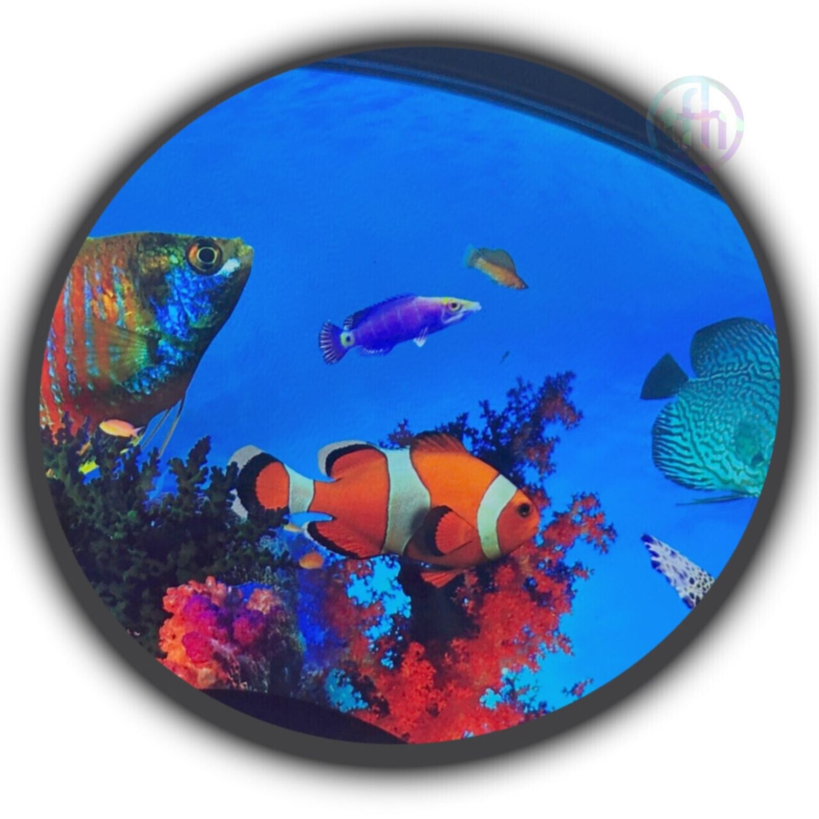 Solar 100 Projector Starter Kit