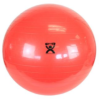 Therapy Ball 