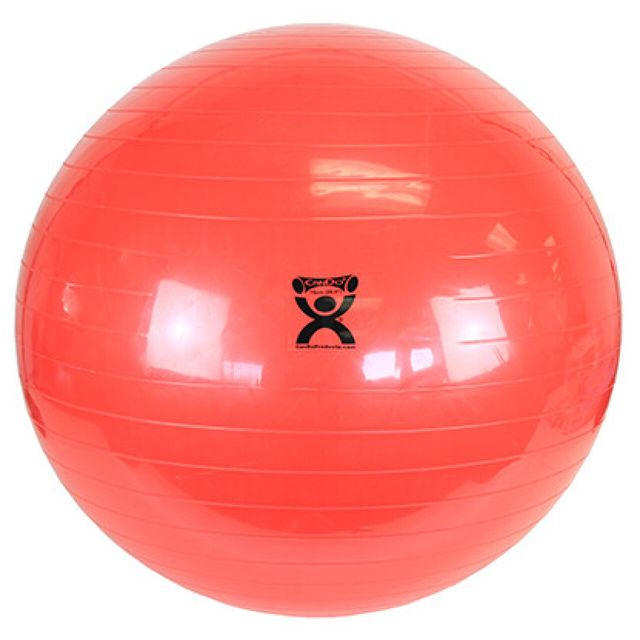Therapy Ball 