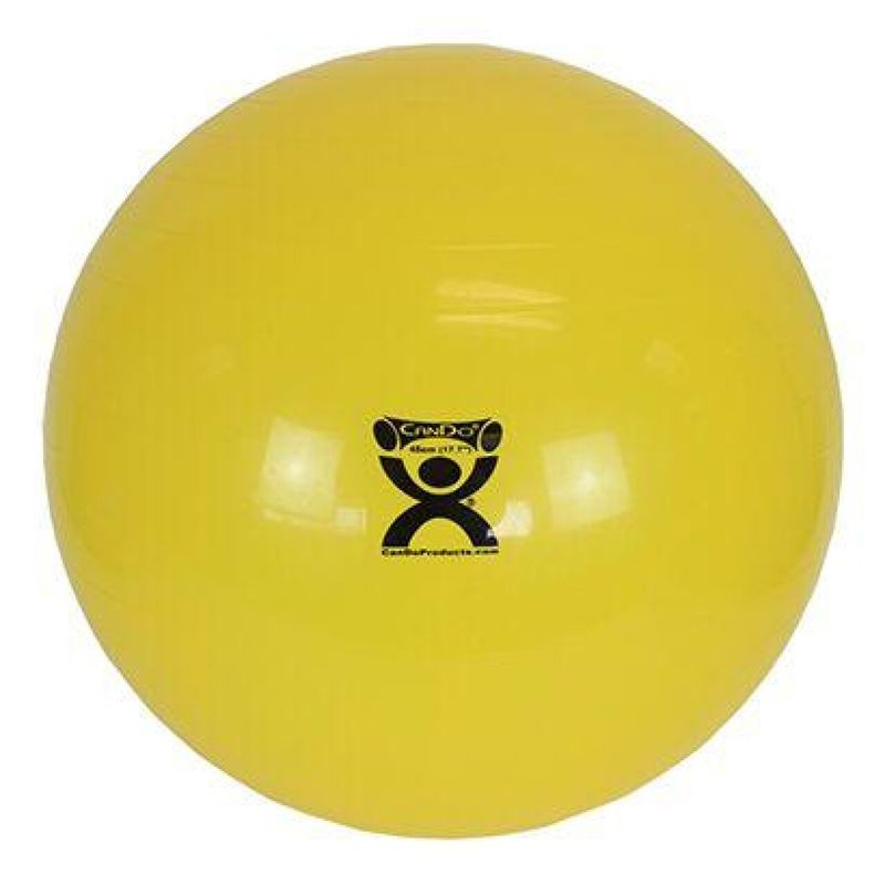 Therapy Ball 