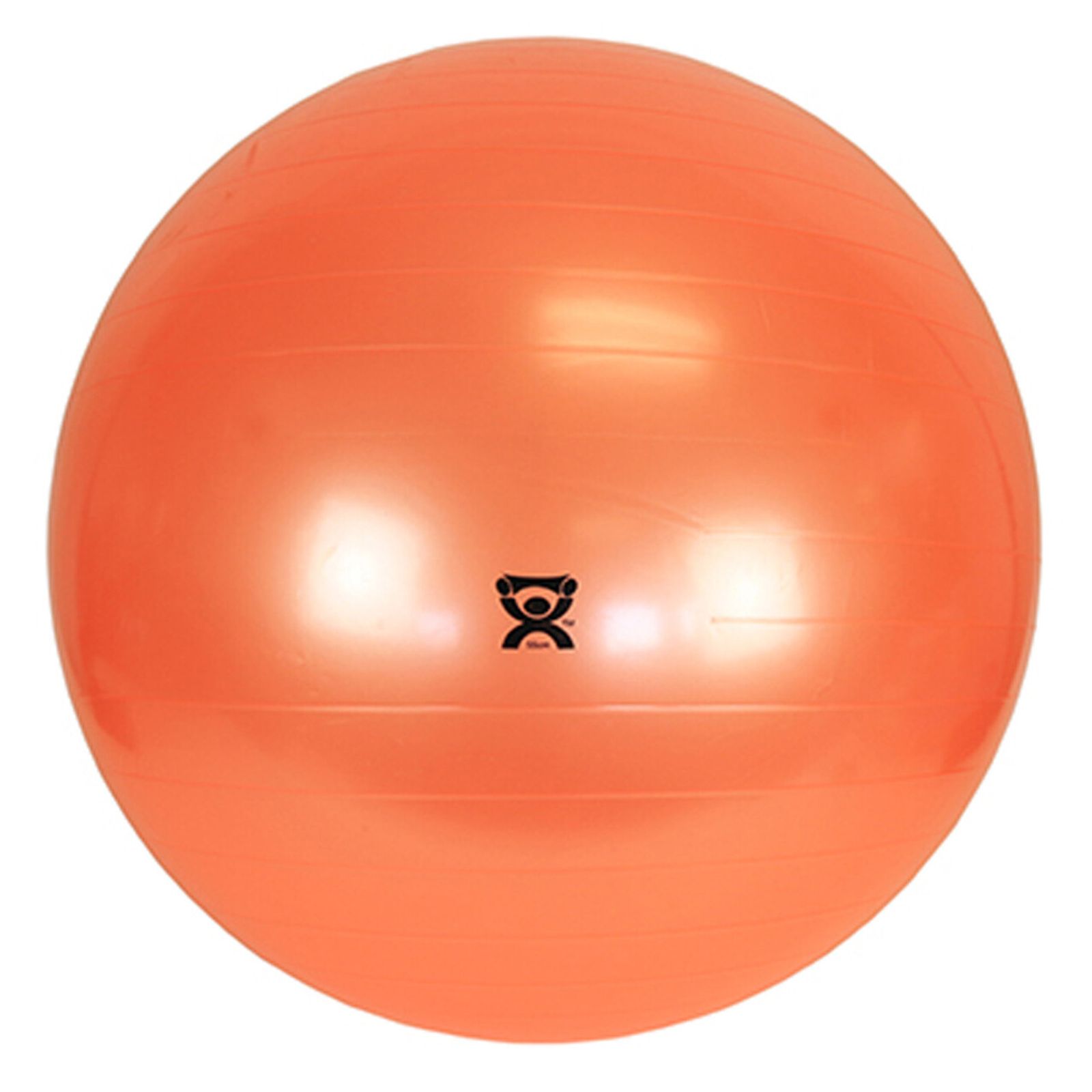 Therapy Ball 