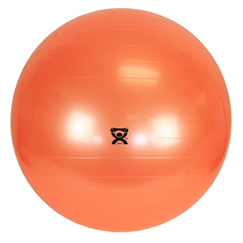Therapy Ball  