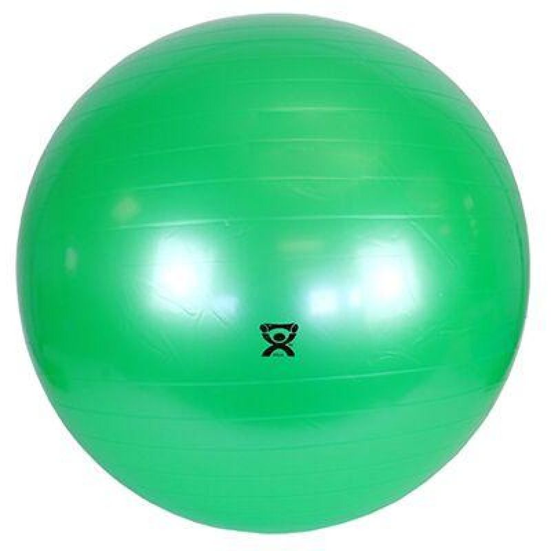 Therapy Ball 