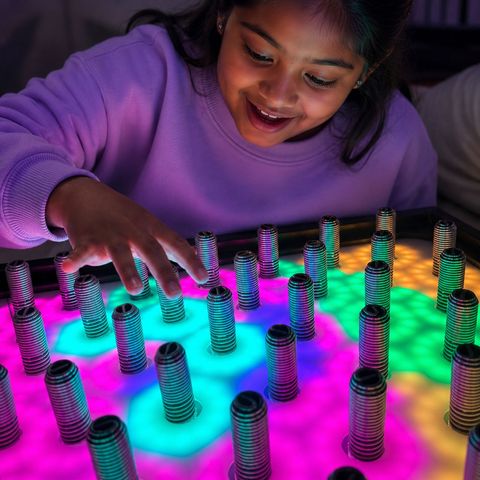Electro Wobble Garden Interactive Sensory Wall Panel
