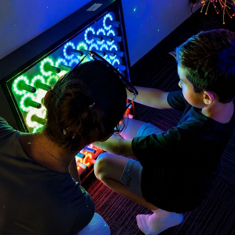 Electro Wobble Garden Interactive Sensory Wall Panel