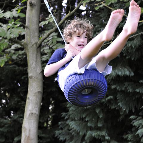 Monkey Swing Seat