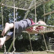 Lillypad Climbing Layers