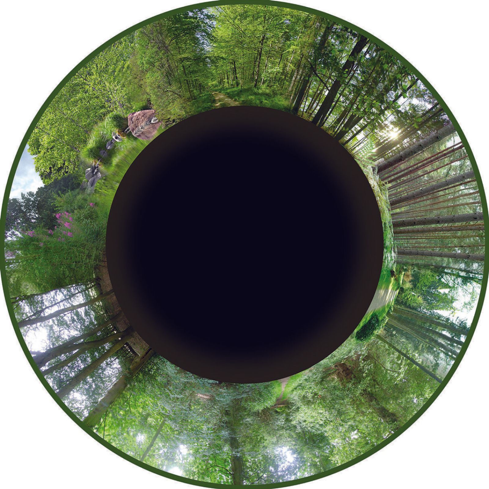 Effekthjul Maxi Skogen