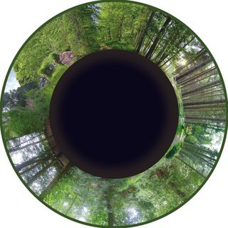 Effekthjul Maxi Skogen