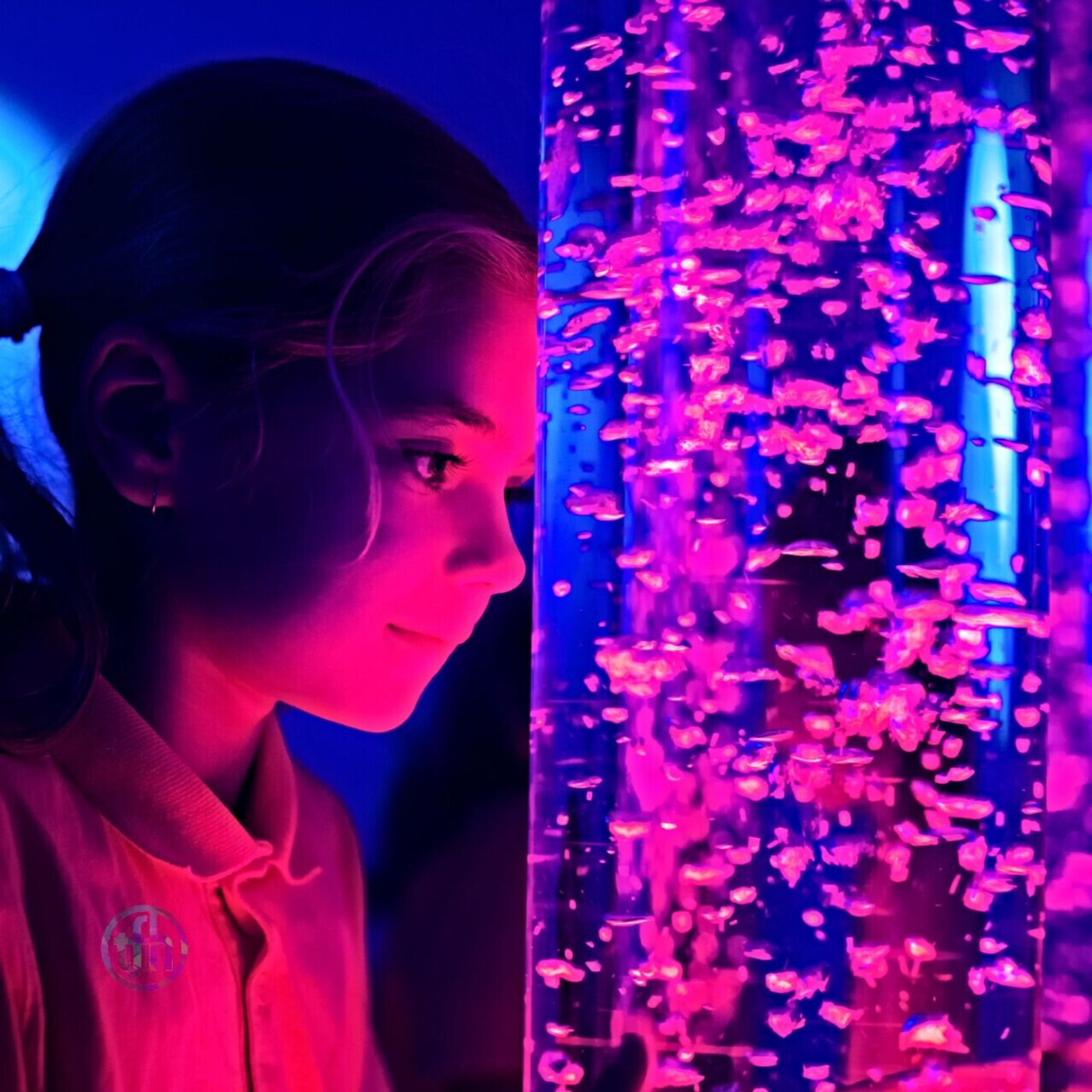 Interactive Sensory Room