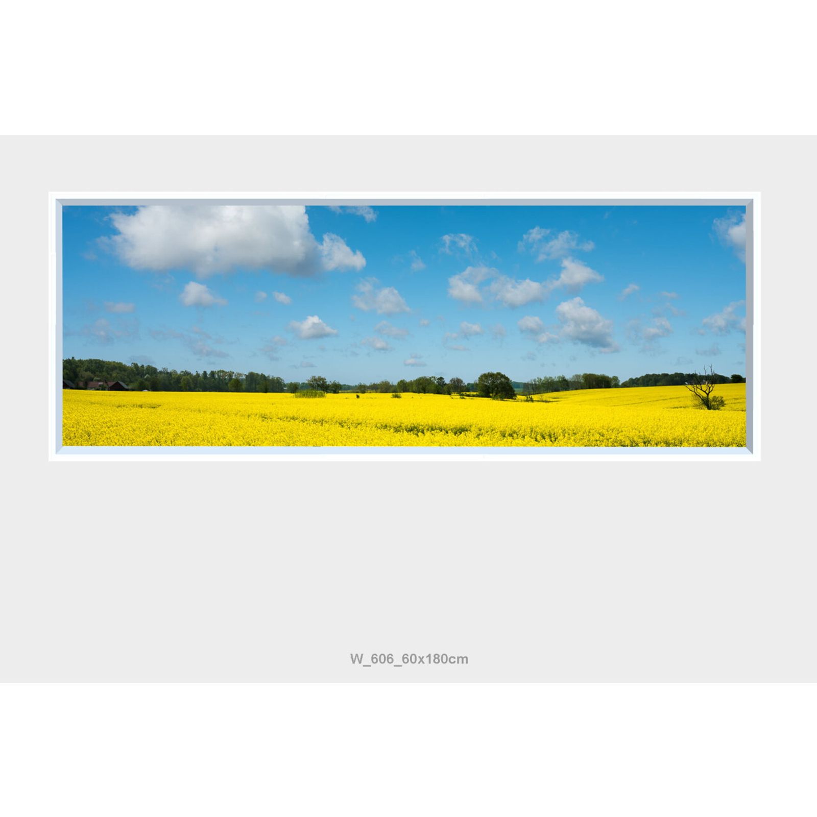 Väggfönster Natur LED 60x180cm