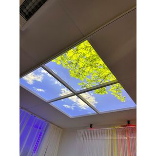 Dagsljus Takfönster Natur LED 60x60cm