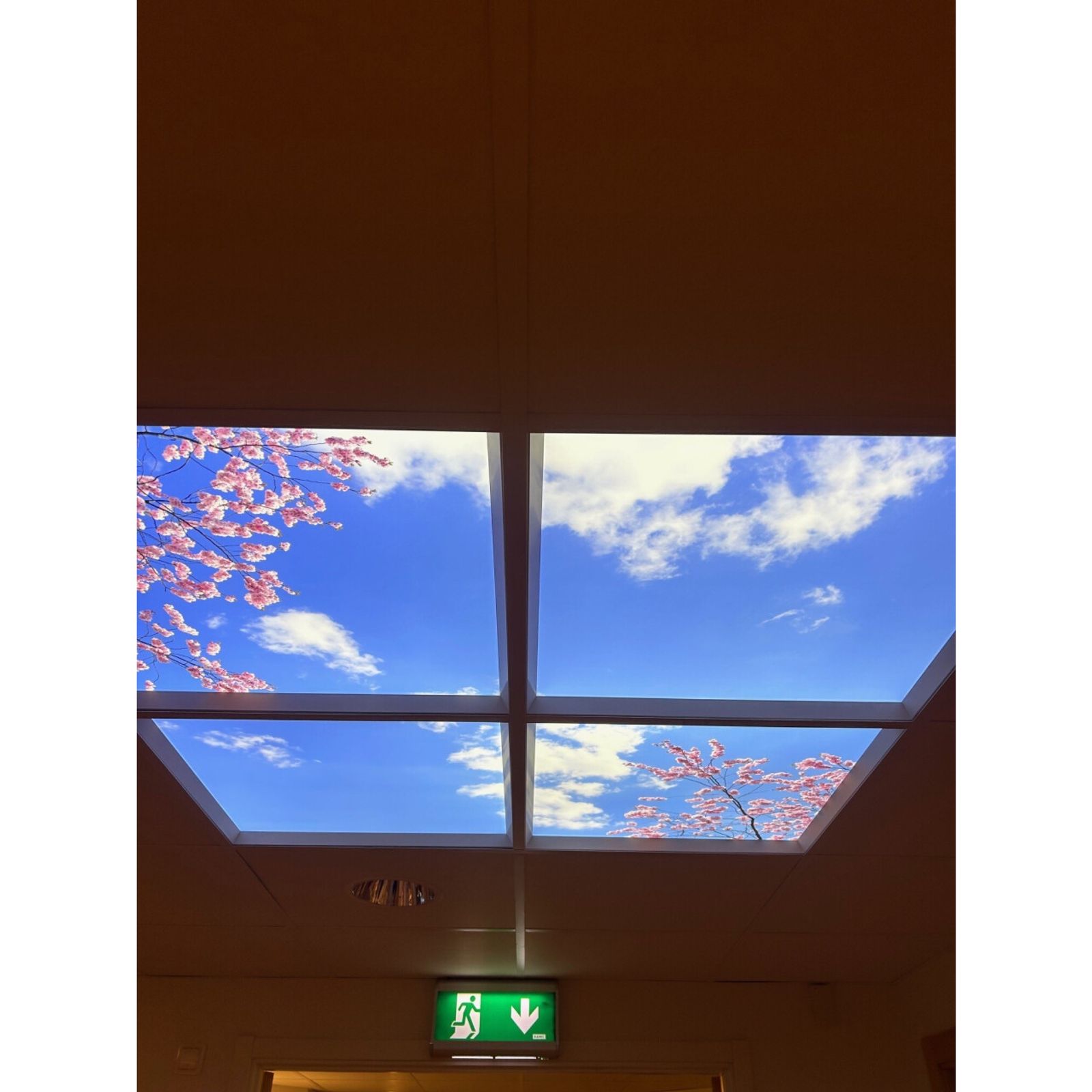Dagsljus Takfönster Natur LED 60x60cm
