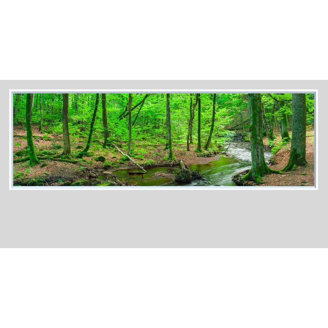 Väggfönster Natur LED 80x150cm